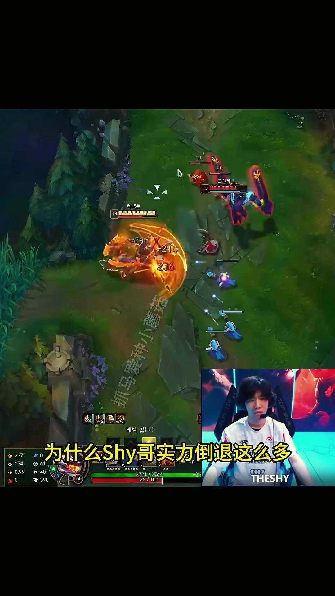 亚博体育官网-TheShy遭遇十五持续失利，热火教练压力巨大！再创辉煌时刻-亚博体育官网